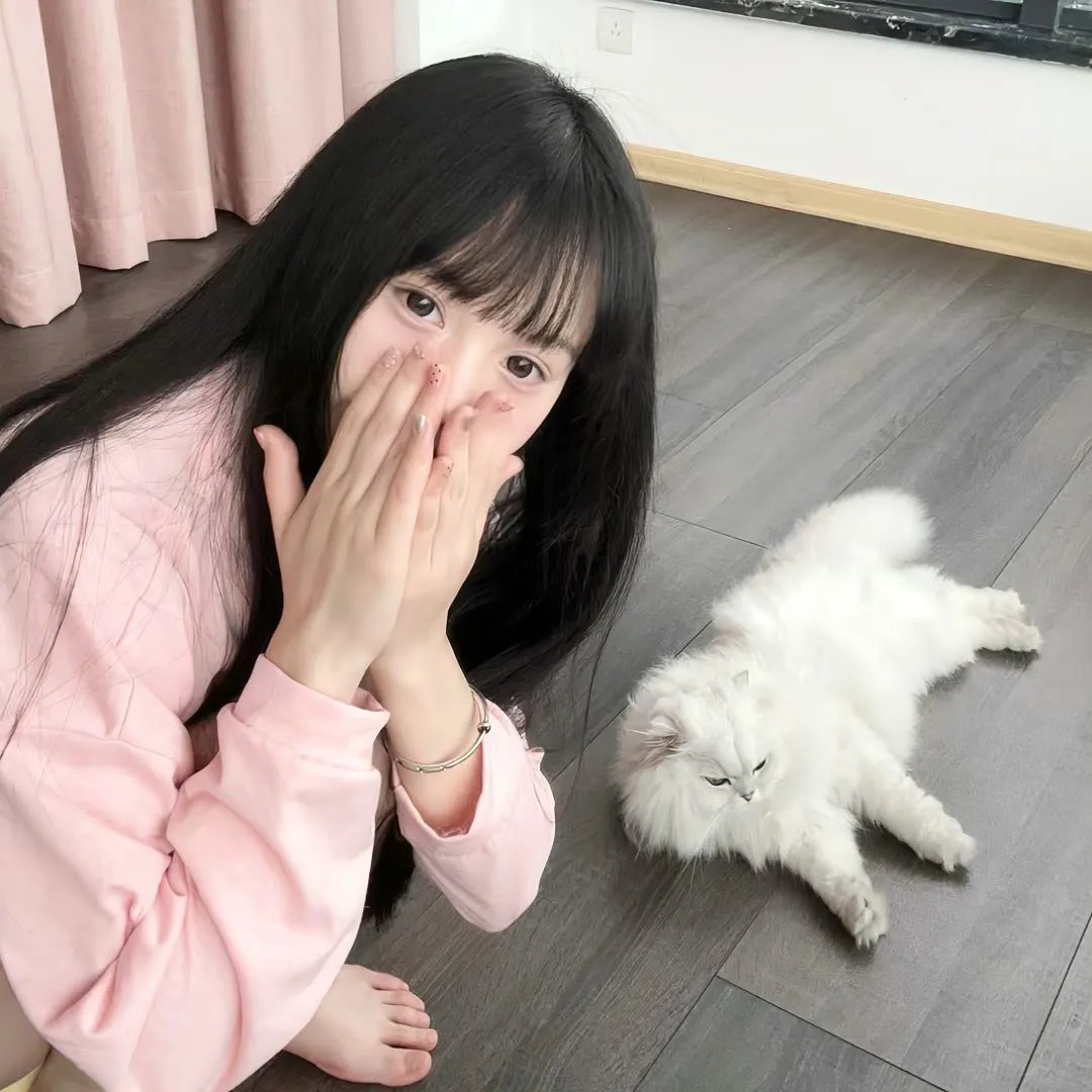 花木兰 在线观看